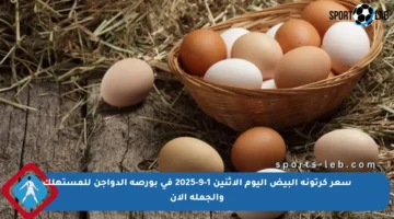 سعر كرتونة البيض اليوم الاثنين 1-9-2025 في بورصة الدواجن للمستهلك والجملة الآن